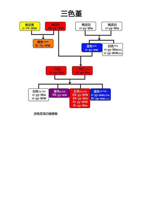 動物森友會-三色堇雜交圖譜