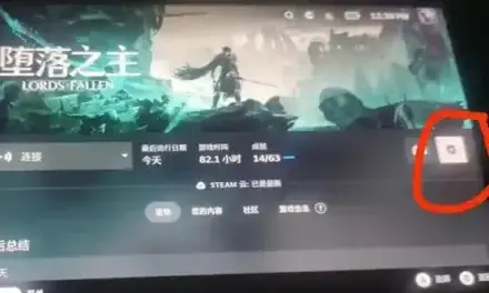 墮落之主-如何解決SteamDeck畫面卡死